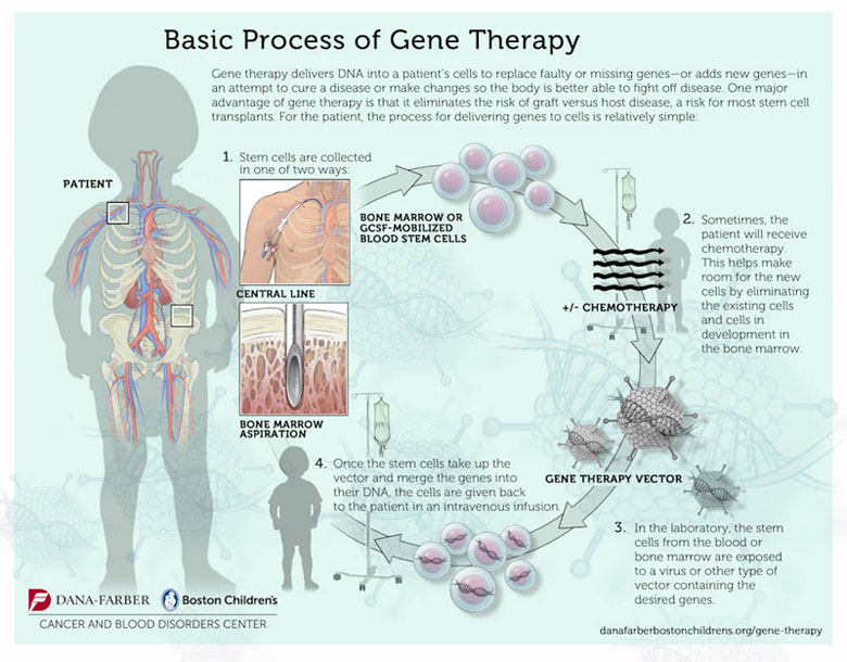 Pediatric gene therapy graphic 2