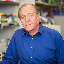 Harvey Cantor, MD, chair of Dana-Farber’s Department of Immunology and AIDS